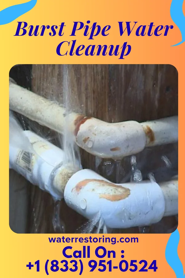 Burst Pipe Water Cleanup in Walterboro, SC