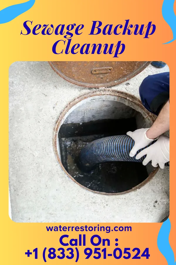 Sewage Backup Cleanup in Walterboro, SC