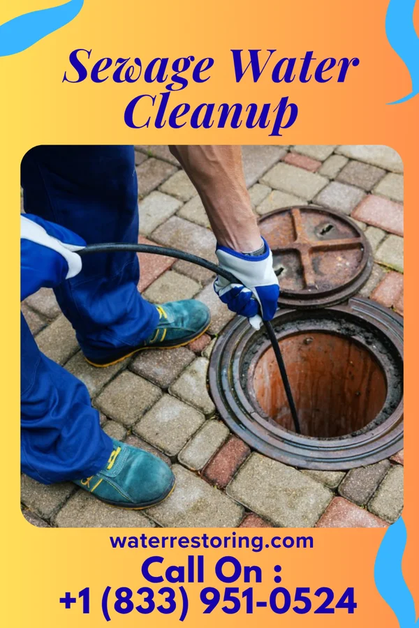 Sewage Water Cleanup in Walterboro, SC