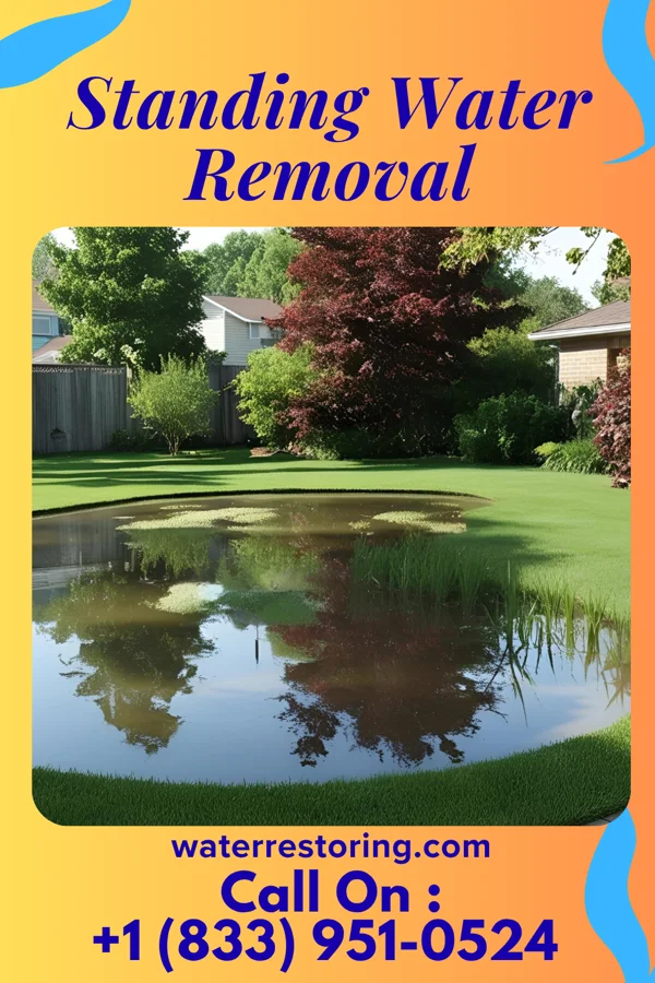 Standing Water Removal in Walterboro, SC